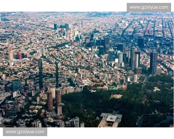 全景剖析墨西哥足球联赛发展格局与多元竞技文化脉动趋势新貌探索